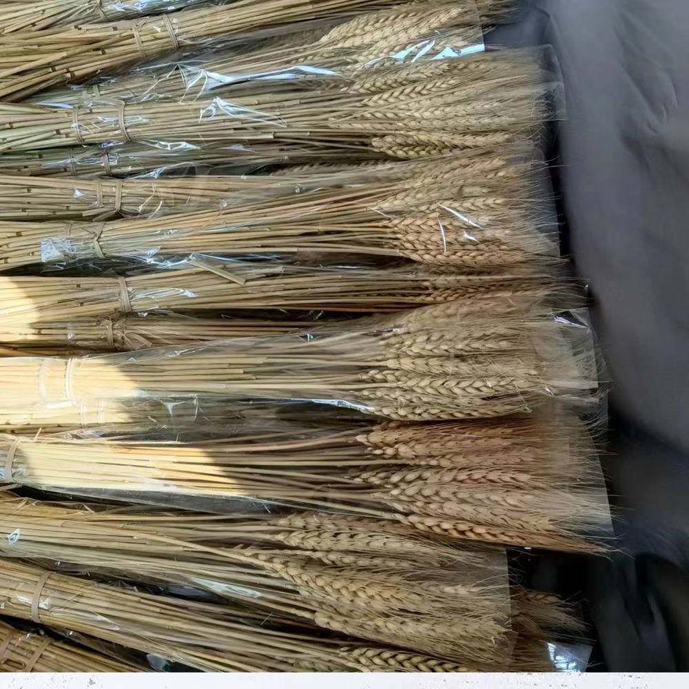 50pcs Artificial Flower Natura - Eucalyptus Preserved 评论和价格