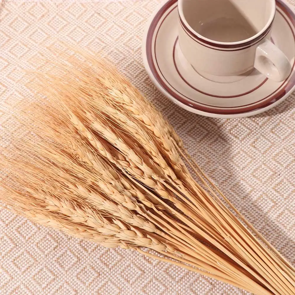 50pcs Artificial Flower Natura - Eucalyptus Preserved 评论和价格