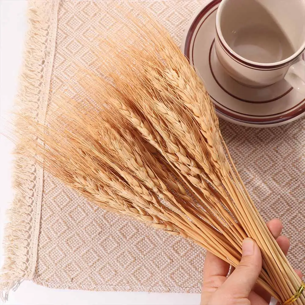 50pcs Artificial Flower Natura - Eucalyptus Preserved 评论和价格
