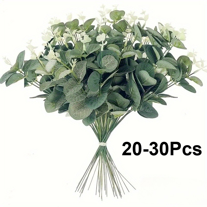 20 or 30pcs Eucalyptus Leaf St - Eucalyptus Preserved 评论和价格