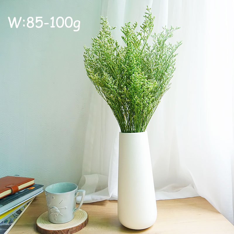 70g/Preserved Valentine's Gras - Eucalyptus Preserved 评论和价格