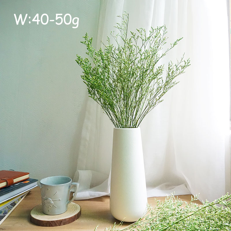 70g/Preserved Valentine's Gras - Eucalyptus Preserved 评论和价格