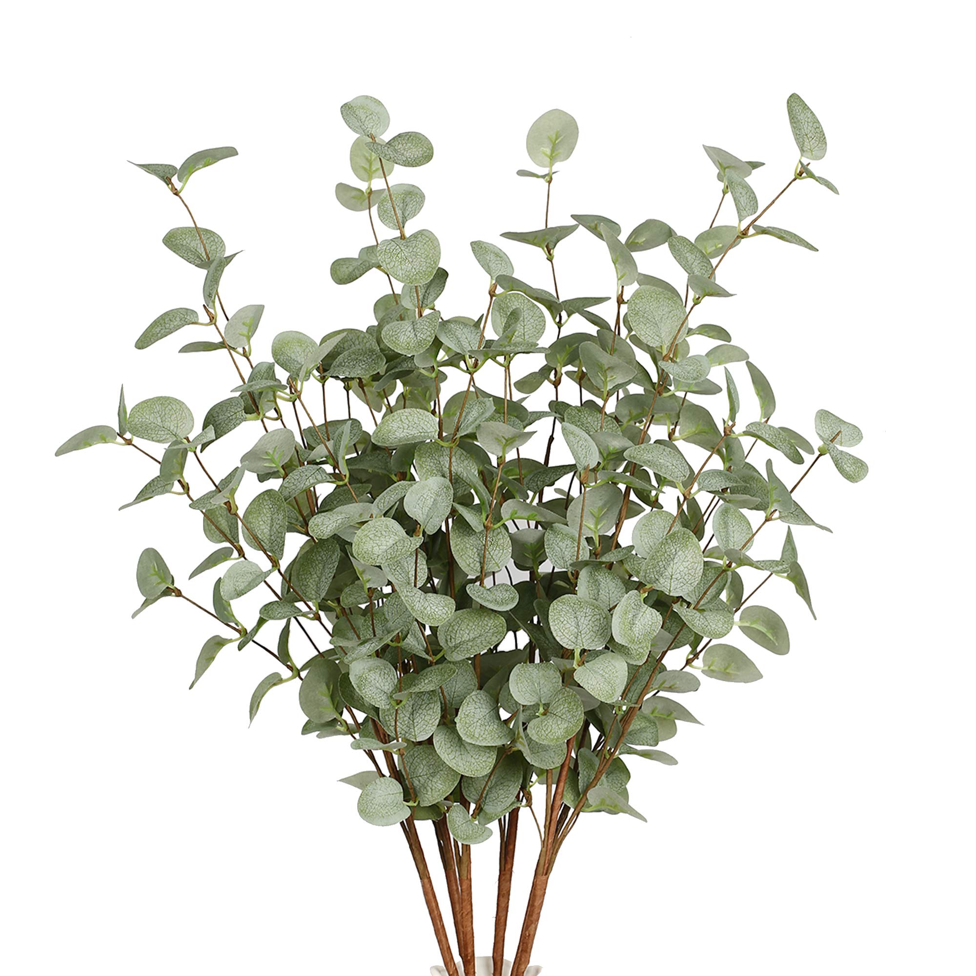 Faux Eucalyptus Stems Artifici - Eucalyptus Preserved 评论和价格
