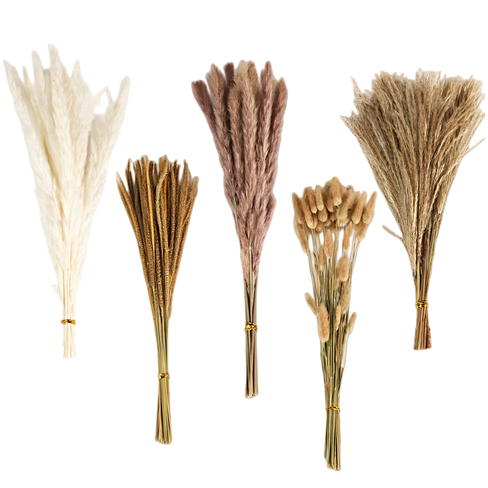 Autumn Vintage Mixed Dried Flo - Eucalyptus Preserved 评论和价格