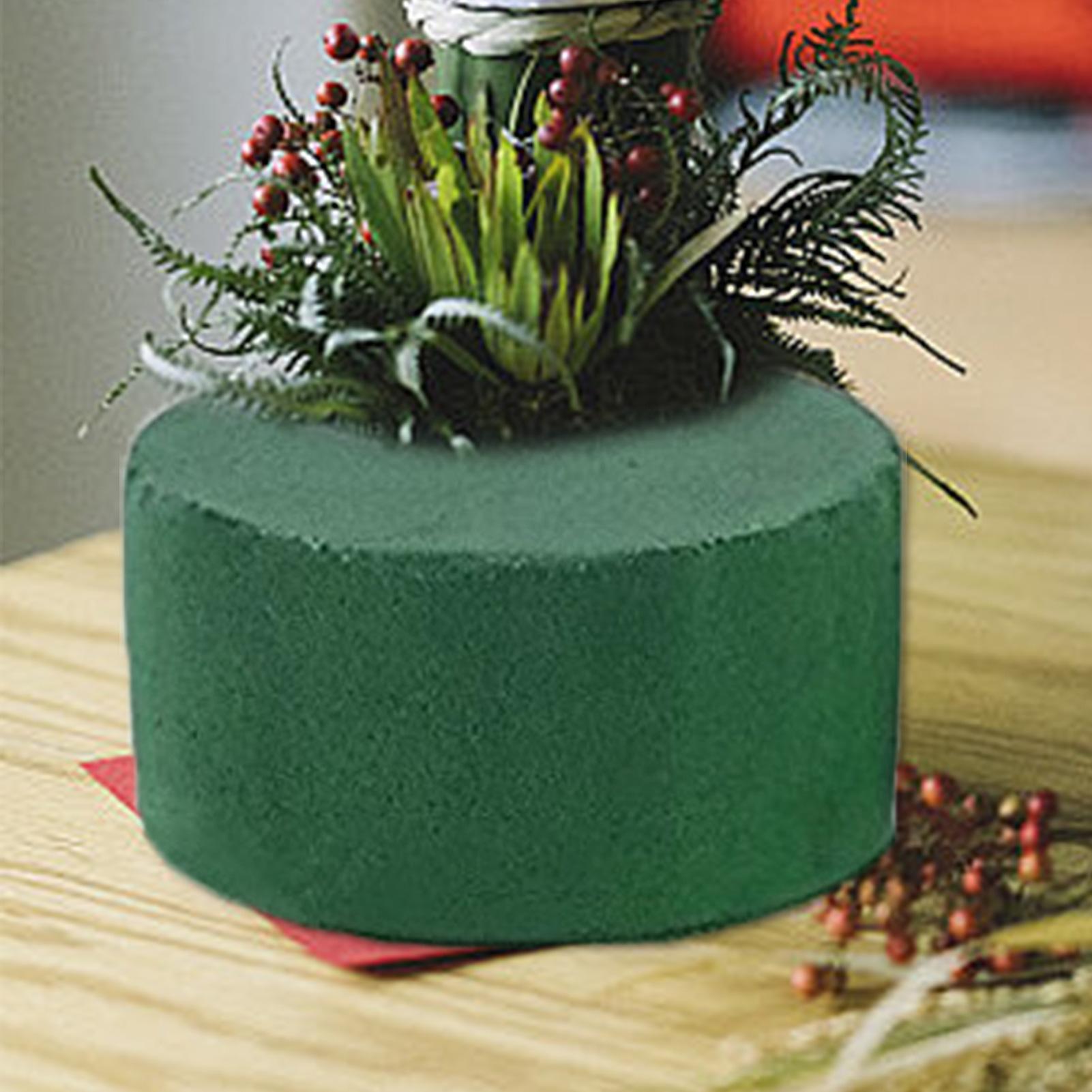 6Pcs Floral Foam Blocks for Fr - Floral Foam Oasis 评论和价格