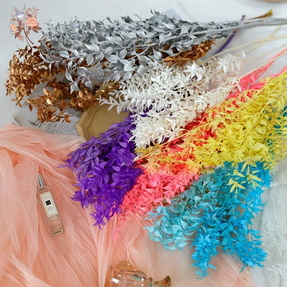50g Artificial Dried Flower Ru - Eucalyptus Preserved 评论和价格