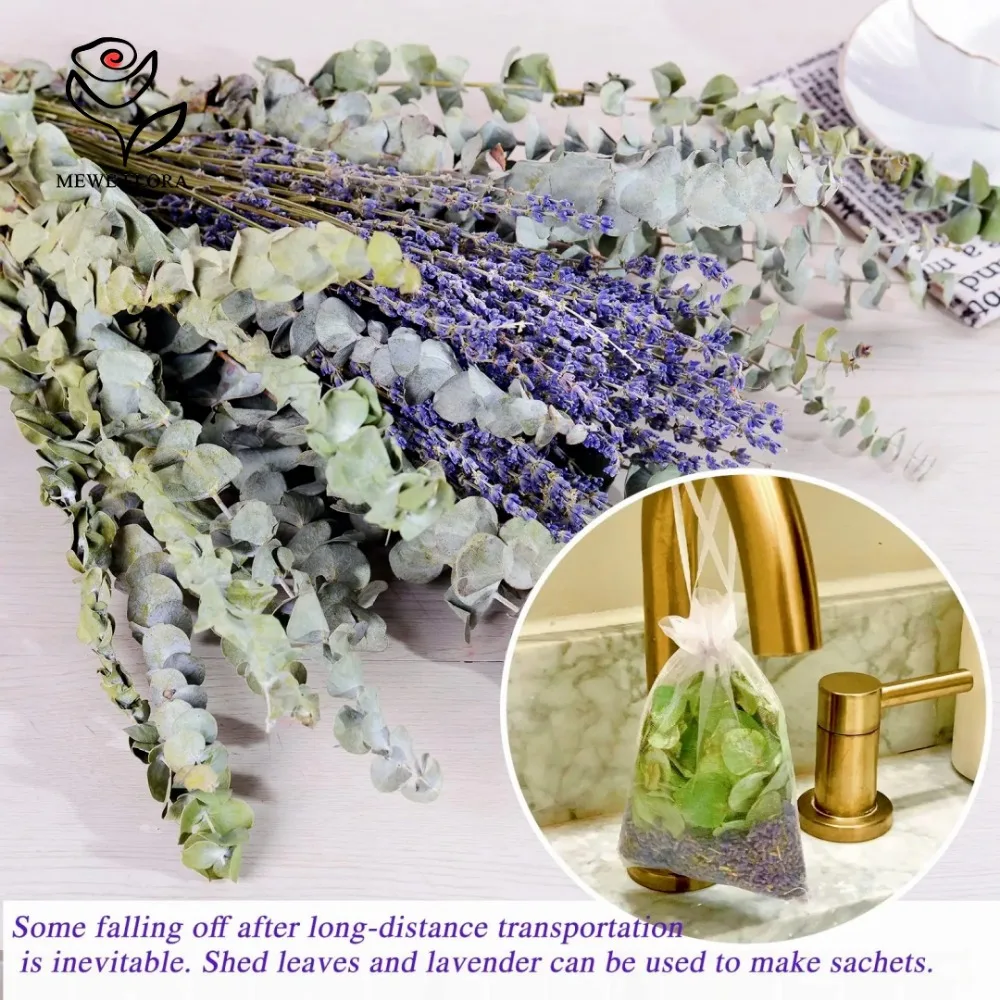 30Pcs Dried Flowers Preserved  - Eucalyptus Preserved 评论和价格