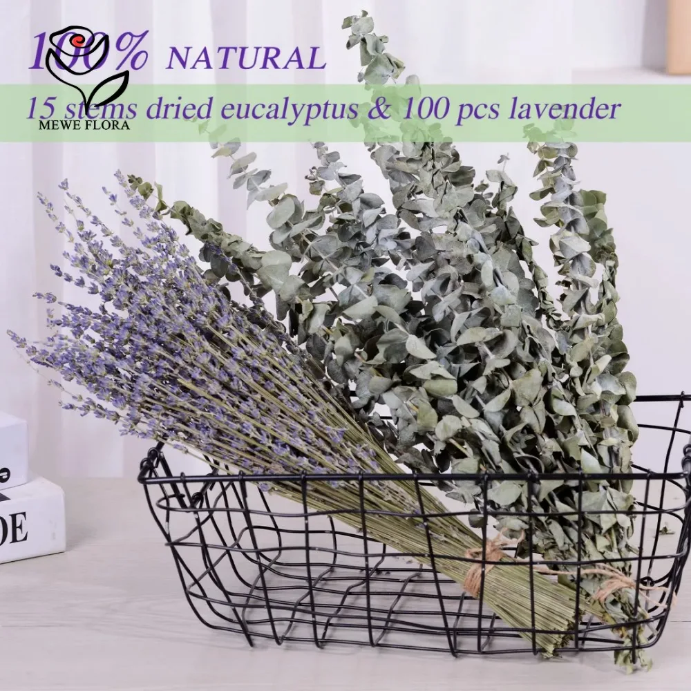 30Pcs Dried Flowers Preserved  - Eucalyptus Preserved 评论和价格