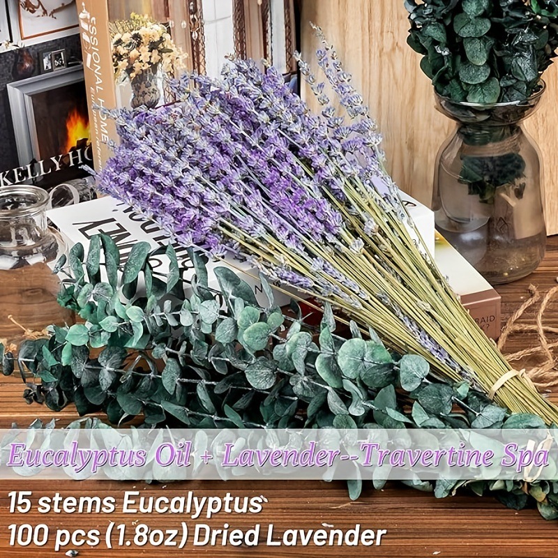 Preserved Lavender & Eucalyptu - Eucalyptus Preserved 评论和价格