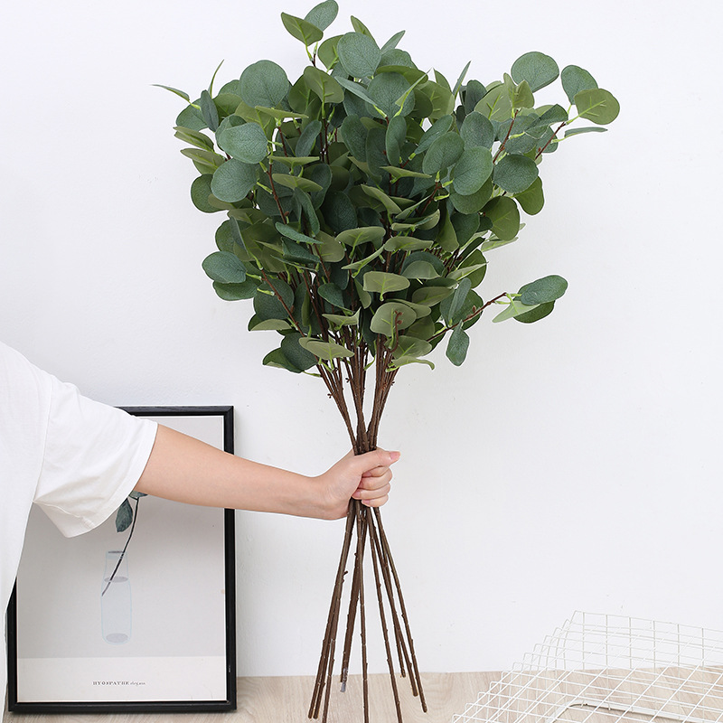1pcs Artificial Eucalyptus App - Eucalyptus Preserved 评论和价格