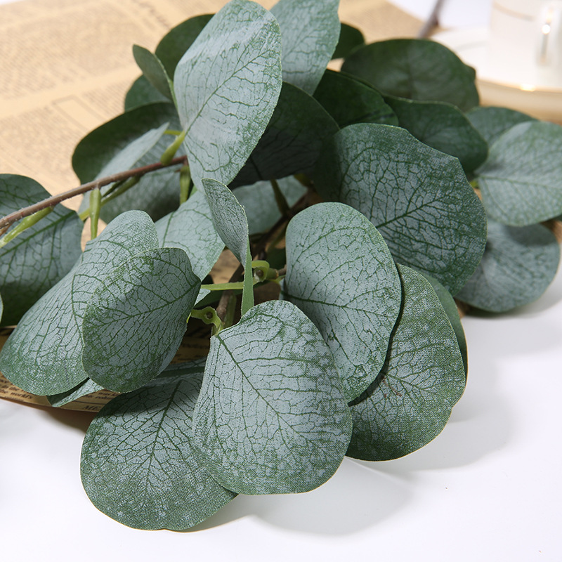 1pcs Artificial Eucalyptus App - Eucalyptus Preserved 评论和价格