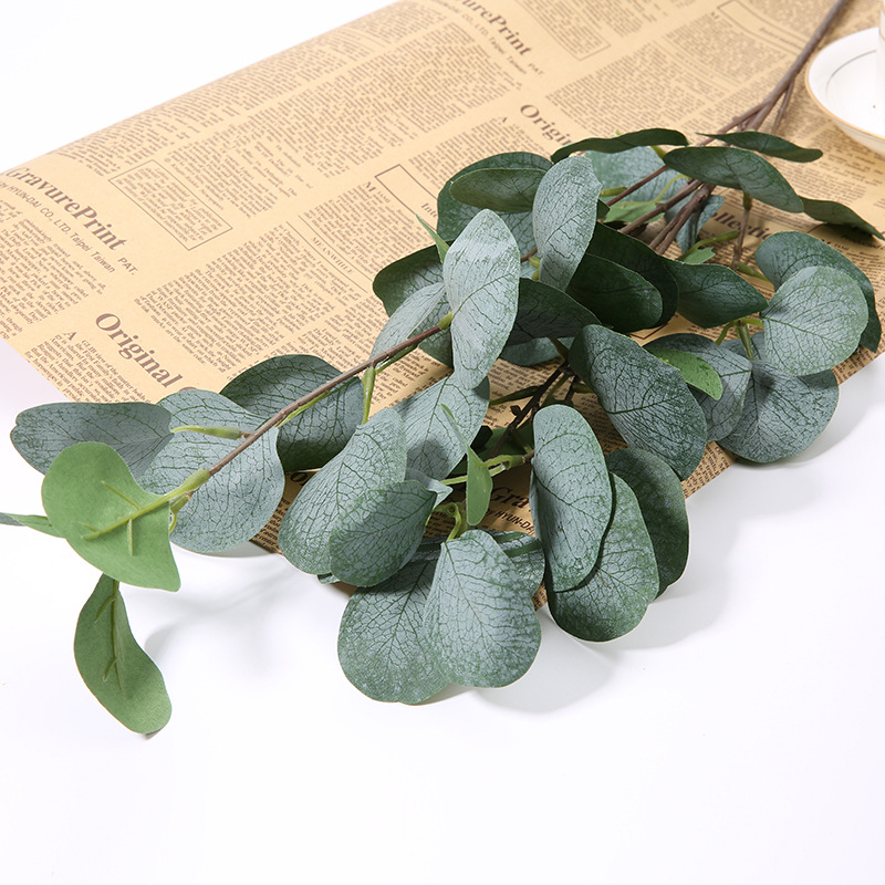 1pcs Artificial Eucalyptus App - Eucalyptus Preserved 评论和价格