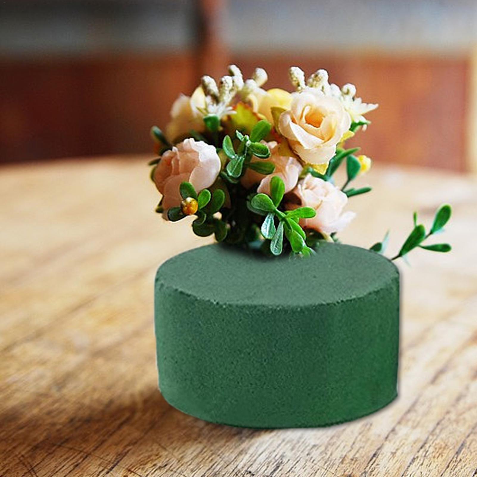 6Pcs Floral Foam Blocks for Fr - Floral Foam Oasis 评论和价格